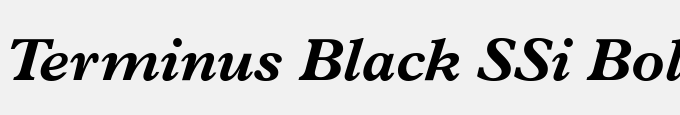 Terminus Black SSi Bold Italic