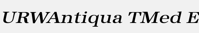 URWAntiqua TMed Ext Wid Oblique