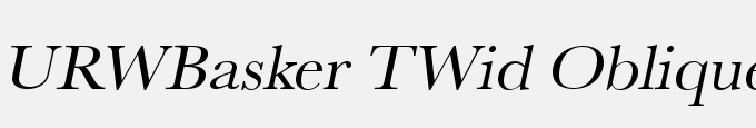 URWBasker TWid Oblique