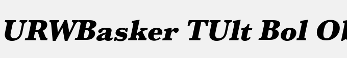 URWBasker TUlt Bol Oblique
