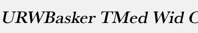 URWBasker TMed Wid Oblique