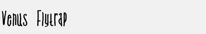 Venus Flytrap & The Bug
