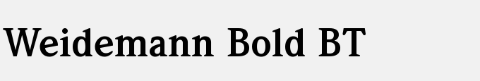 Weidemann Bold BT
