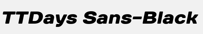 TTDays Sans-Black Italic