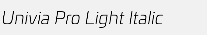 Univia Pro Light Italic