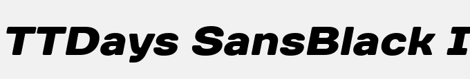 TTDays Sans-Black Italic