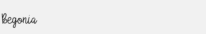 Begonia