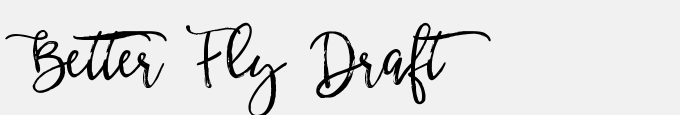 Better Fly Draft