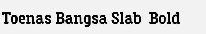 Toenas Bangsa Slab Bold