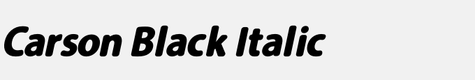 Carson Black Italic