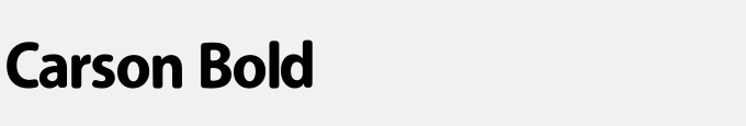 Carson Bold