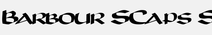 Barbour SCaps SSK