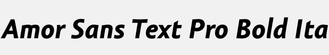 Amor Sans Text Pro Bold Italic
