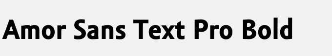 Amor Sans Text Pro Bold