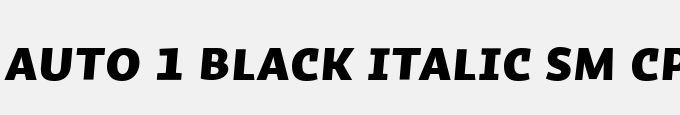 Auto 1 Black Italic Sm Cp