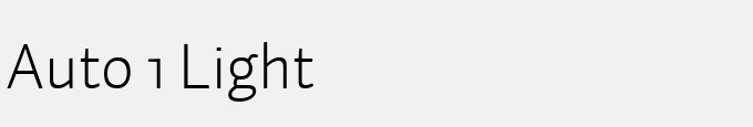 Auto 1 Light