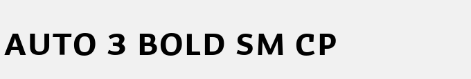 Auto 3 Bold Sm Cp
