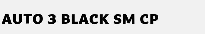 Auto 3 Black Sm Cp