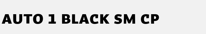 Auto 1 Black Sm Cp