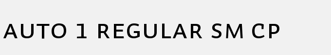 Auto 1 Regular Sm Cp