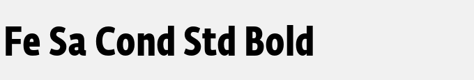 Fe Sa Cond Std Bold
