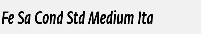 Fe Sa Cond Std Medium Ita