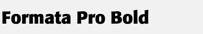 Formata Pro Bold