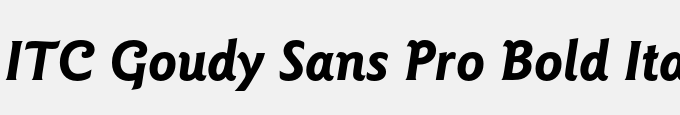 ITC Goudy Sans Pro Bold Italic