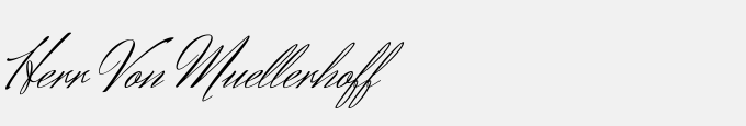 Herr Von Muellerhoff