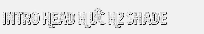 Intro Head H UC H2 Shade