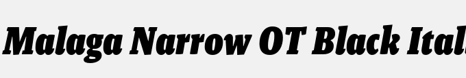 Malaga Narrow OT Black Italic