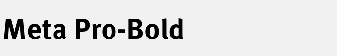 Meta Pro-Bold