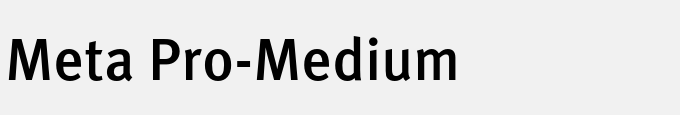 Meta Pro-Medium