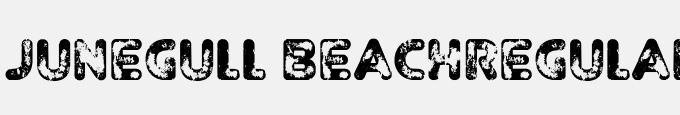 Junegull Beach-Regular