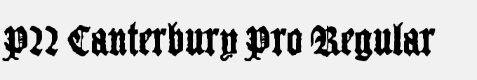 P22 Canterbury Pro Regular