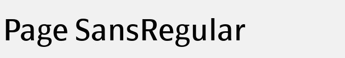 Page Sans-Regular