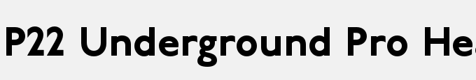 P22 Underground Pro Heavy