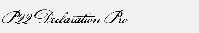 P22 Declaration Pro