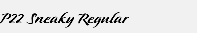 P22 Sneaky Regular