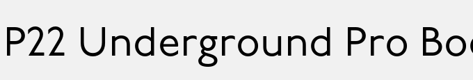 P22 Underground Pro Book