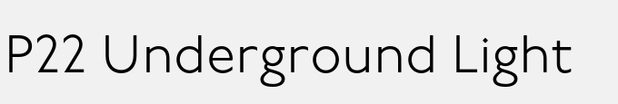 P22 Underground Light
