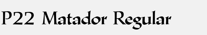 P22 Matador Regular