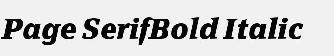 Page Serif-Bold Italic