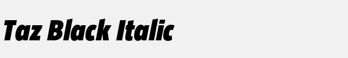 Taz Black Italic