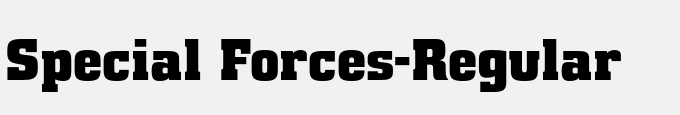 Special Forces-Regular