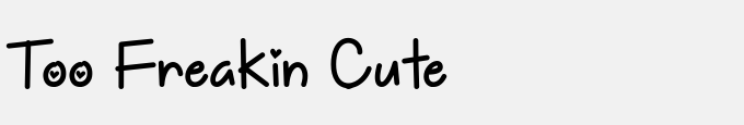 Too Freakin Cute