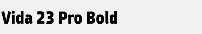 Vida 23 Pro Bold