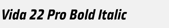 Vida 22 Pro Bold Italic