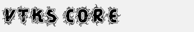 VTKS CORE
