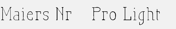 Maiers Nr21 Pro Light